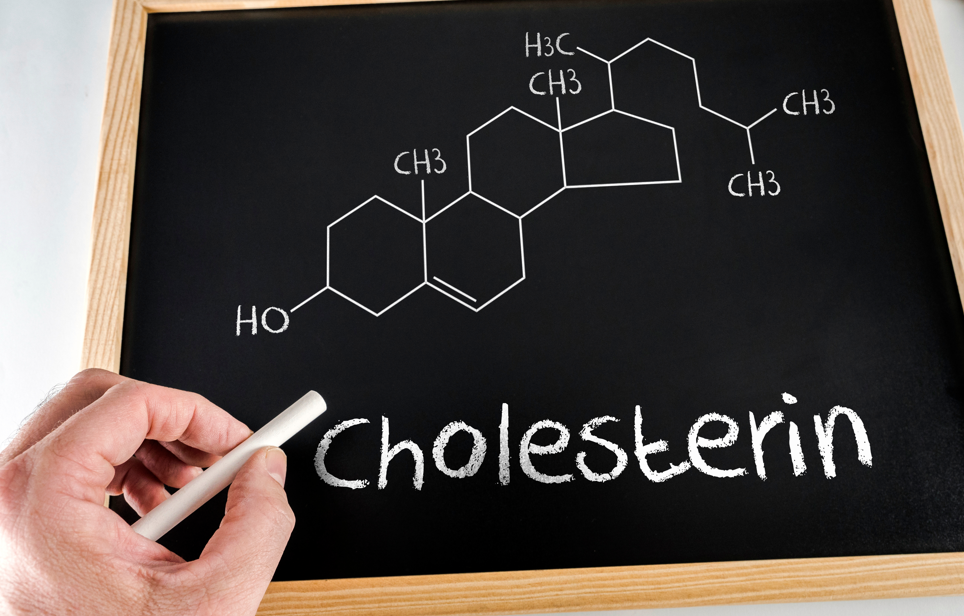 Dieser Cholesterin-Mythos stimmt nicht: „Ein hoher Cholesterinwert ist nicht so schlimm.“